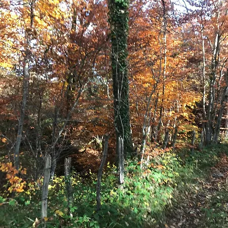 아파트 Tuscany Nature Relax 피에베산토스테파노