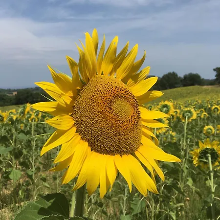 Tuscany Nature Relax 아파트