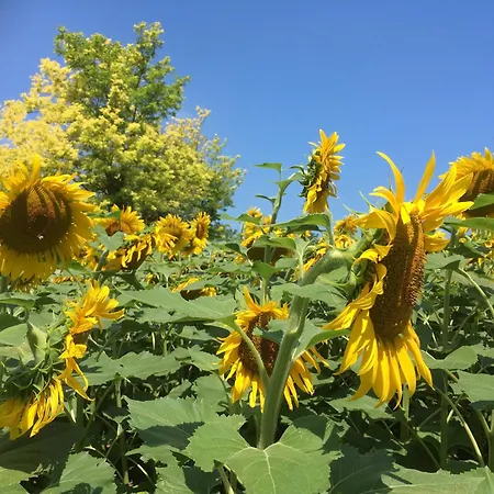Tuscany Nature Relax 아파트