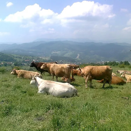 아파트 Tuscany Nature Relax
