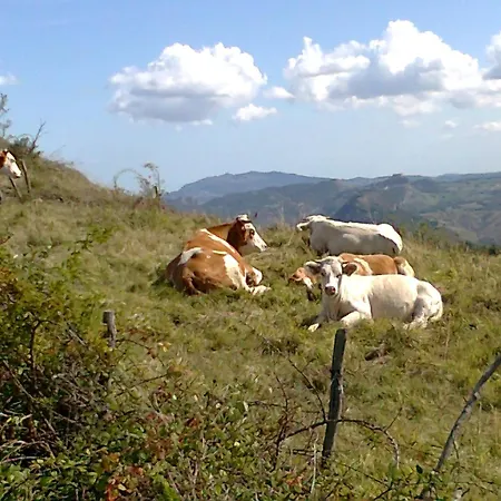 아파트 Tuscany Nature Relax *