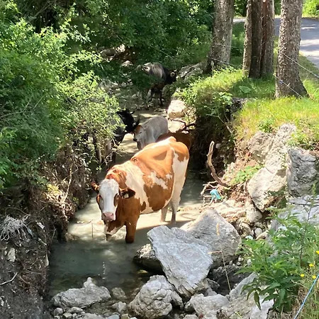 Tuscany Nature Relax 아파트 피에베산토스테파노